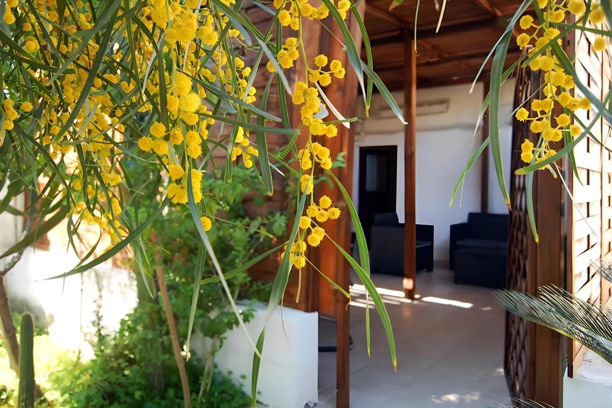 Sea Breeze Villa - Sole Apartment Бари Екстериор снимка